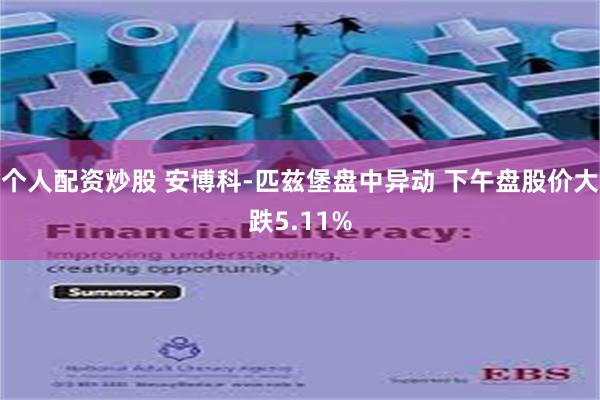 个人配资炒股 安博科-匹兹堡盘中异动 下午盘股价大跌5.11%