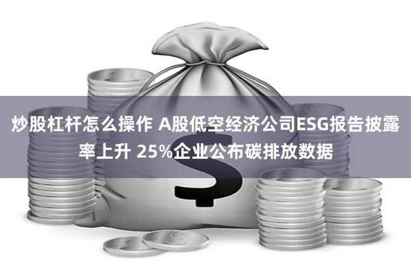 炒股杠杆怎么操作 A股低空经济公司ESG报告披露率上升 25%企业公布碳排放数据