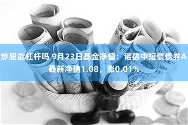 炒股能杠杆吗 9月23日基金净值：诺德中短债债券A最新净值1.08，涨0.01%