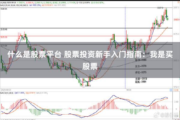 什么是股票平台 股票投资新手入门指南：我是买股票