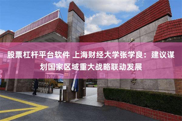 股票杠杆平台软件 上海财经大学张学良：建议谋划国家区域重大战略联动发展