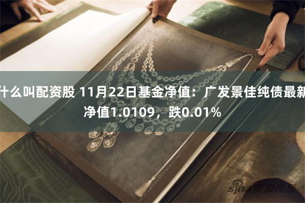 什么叫配资股 11月22日基金净值：广发景佳纯债最新净值1.0109，跌0.01%