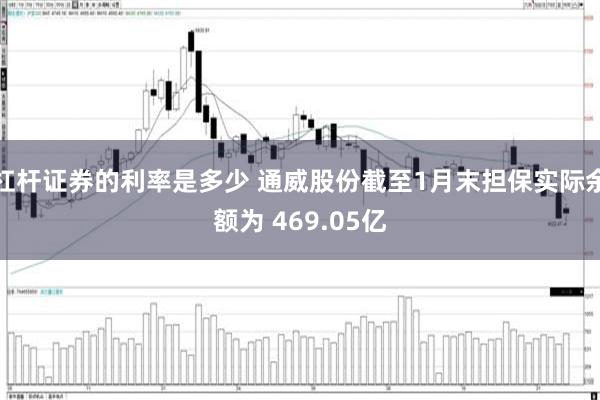 杠杆证券的利率是多少 通威股份截至1月末担保实际余额为 469.05亿