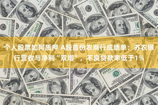 个人股票如何质押 A股首份农商行成绩单：苏农银行营收与净利“双增”，不良贷款率低于1%