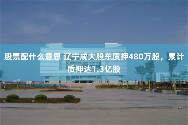 股票配什么意思 辽宁成大股东质押480万股，累计质押达1.3亿股