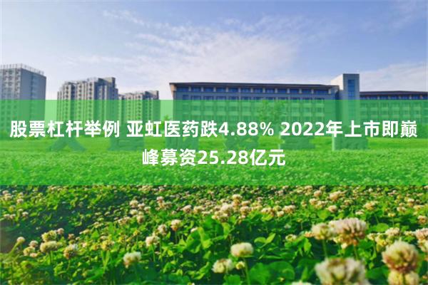 股票杠杆举例 亚虹医药跌4.88% 2022年上市即巅峰募资25.28亿元